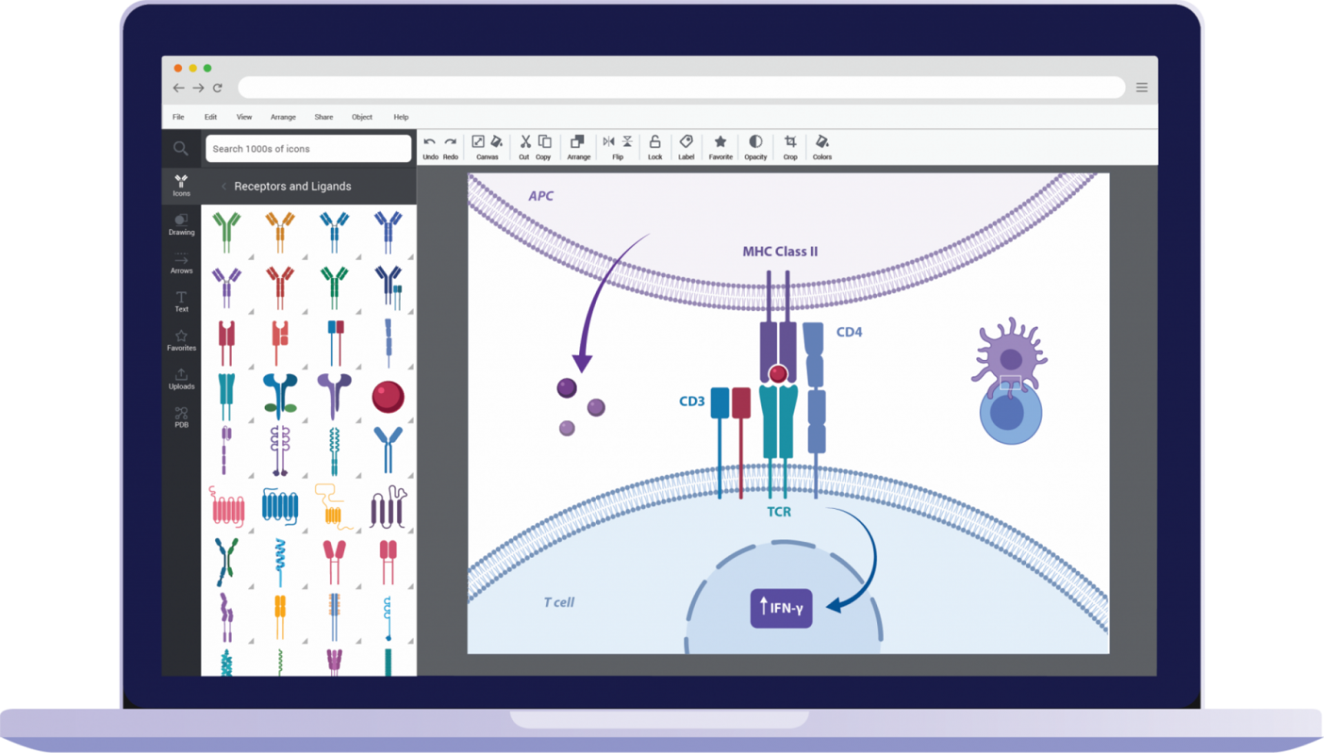 how to cite biorender